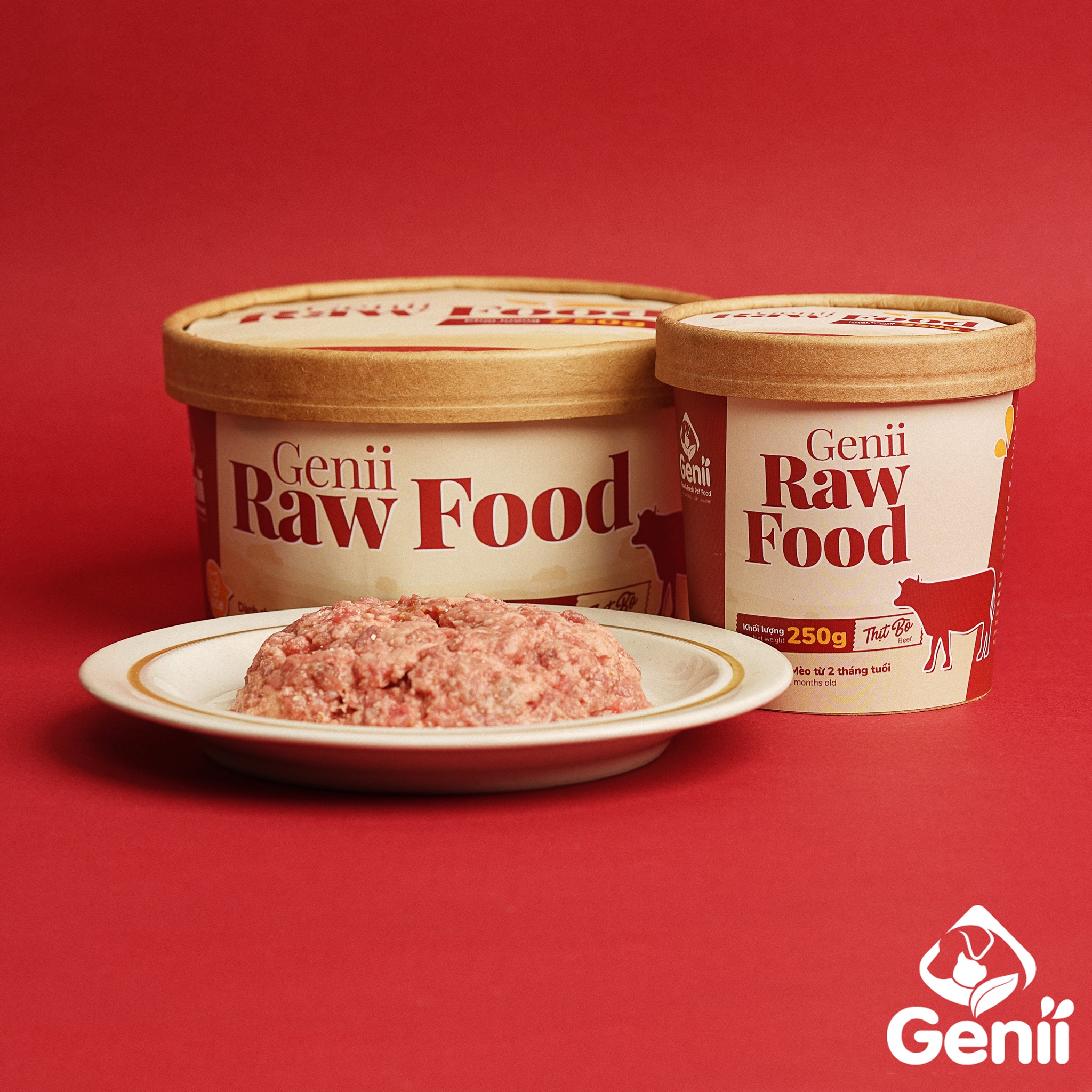 raw food cho mèo - raw food thịt bò sau khi được rã đông.