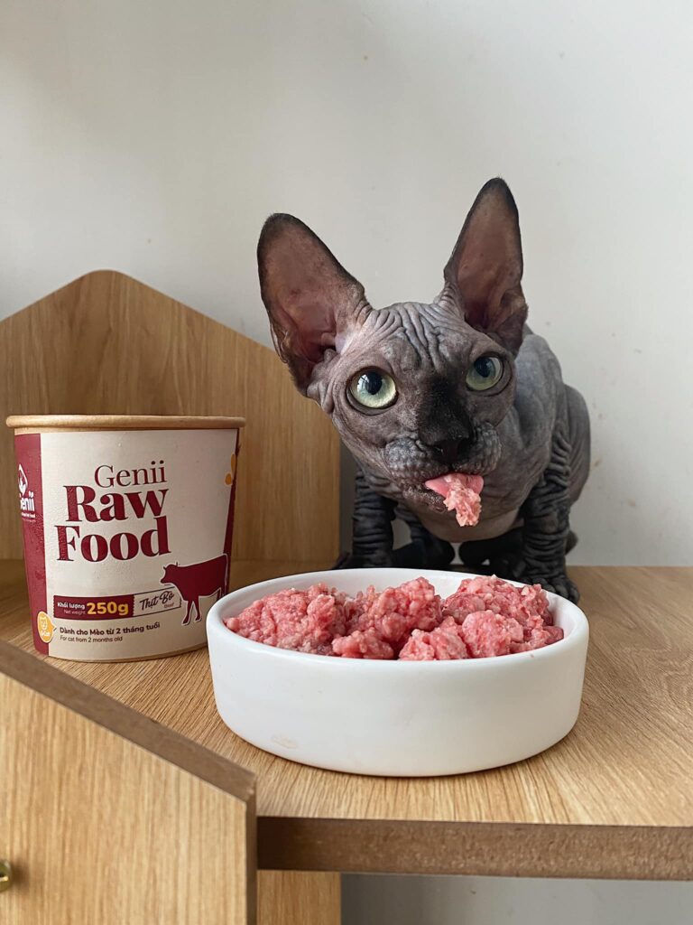 Mèo đang ăn Rawfood có chứa Myoglobin. 